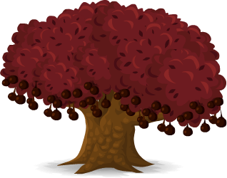 A thick, rounded tree with dark red leaves and maroon fruits.
